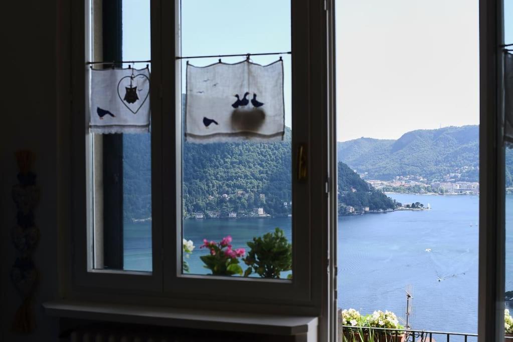 F&F Vista Lago Cernobbio Eksteriør billede
